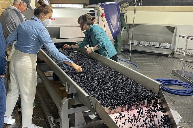La Rioja Boutique Wine Tour - 2 Bodegas & Picnic Lunch (From Bilbao) - Tour Details