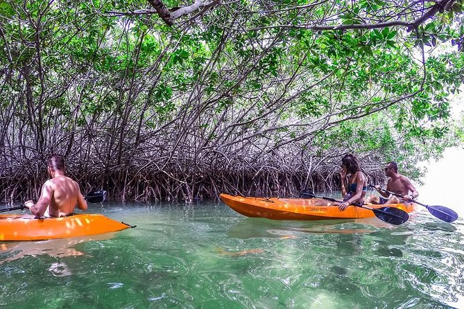 Lac Bay National Park Clear-Bottom Kayak and Snorkeling Tour  - Bonaire - Good To Know