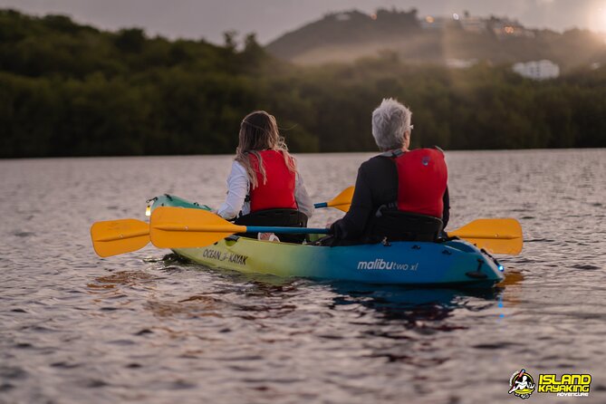 Laguna Grande Small-Group Bioluminescence Kayak Tour  - Puerto Rico - Positive Experiences and Highlighted Features