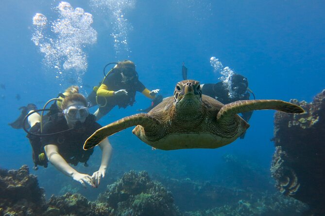 Lahaina Small-group Scuba Review Dive  - Maui - Cancellation Policy