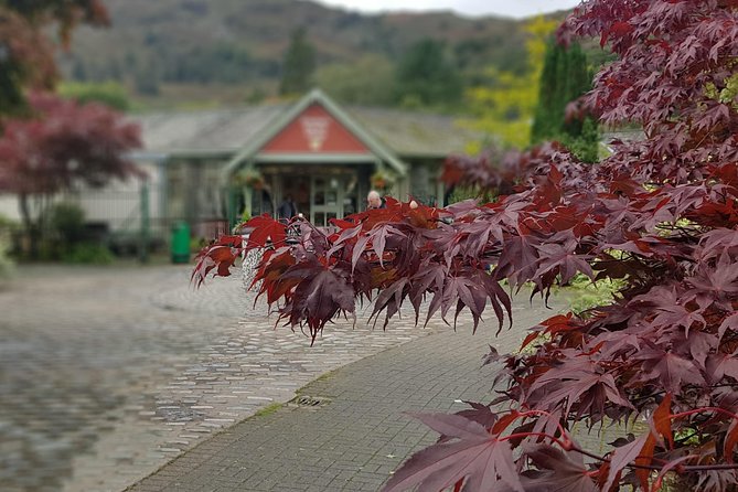 Lake District Adventure Sightseeing Day Trip From Liverpool - Recommendations and Feedback