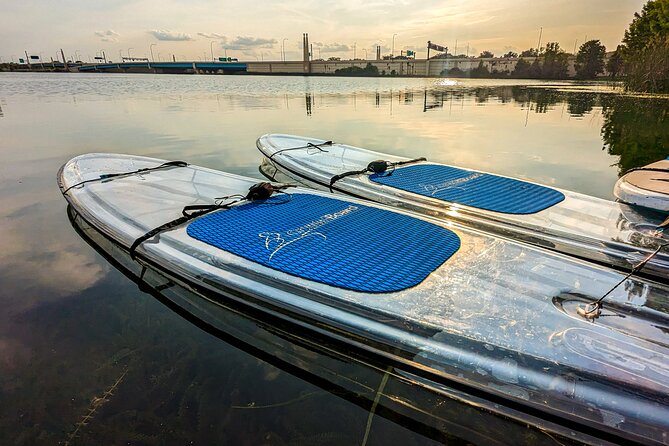 Lake Ivanhoe Guided Paddleboard or Kayak Tour in Orlando - Experience Highlights