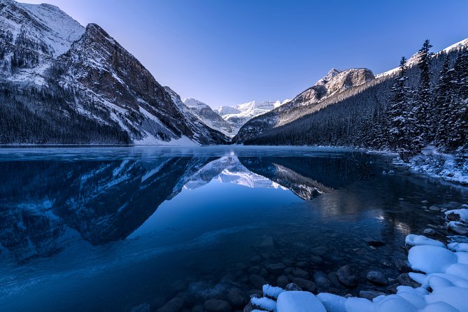 Lake Louise Bus and Walking Tour  - Banff - What to Expect