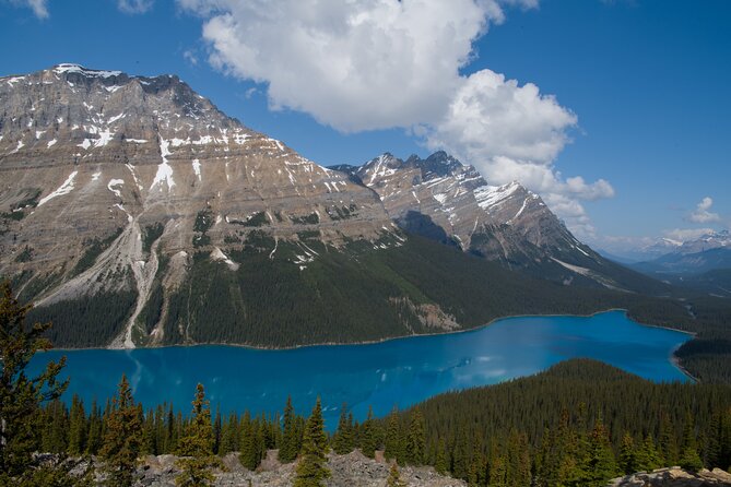 Lake View Full Day Tour-Moraine Lake, Lake Louise, Peyto Lake... - Cancellation Policy