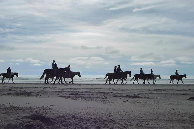 Las Cañadas Ecopark and Horseback Riding Private Tour - Convenient Private Tour
