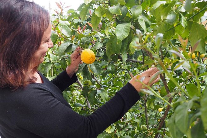 Learn to Cook With a Local Expert: a Private Greek Cooking Class in Athens - Common Questions