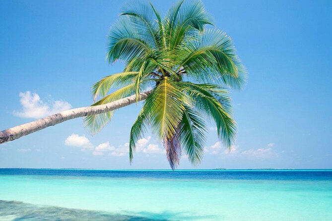 Lets Go To Jost Van Dyke, BVI - Lunch at Foxys