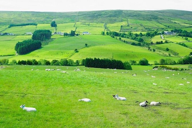 Liberty Irish Tours Dublin City & Wicklow Mountains Luxury Car Shore Excursion - Cancellation Policy Allows for a Full Refund