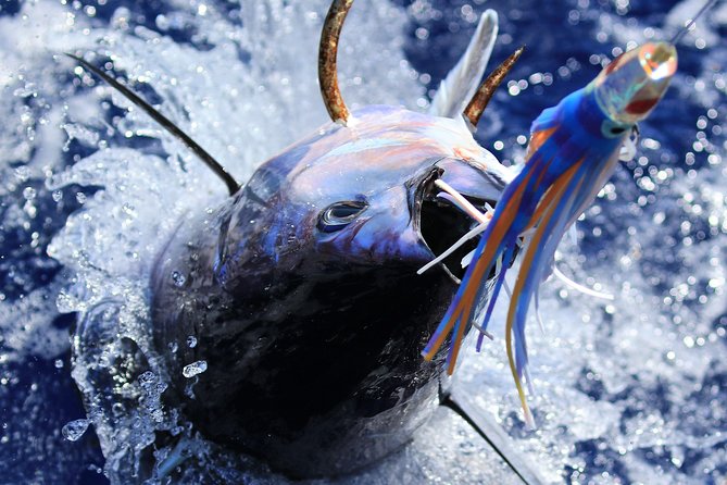 Lihue, Kauai: Private Big Game Fishing Charter - Targeted Fish Species in Kauai Waters
