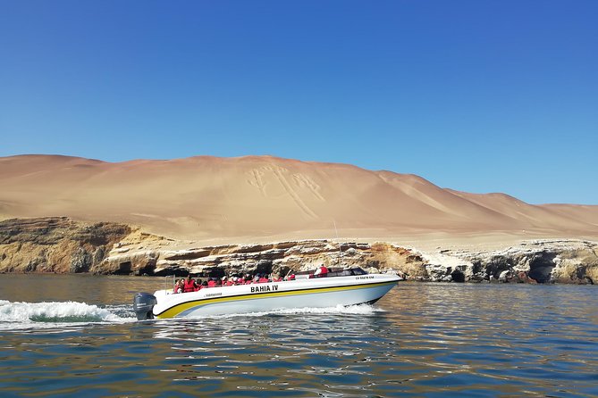 Lima: Ballestas Islands, Winery & Huacachina Oasis Private Tour - What to Expect on the Tour