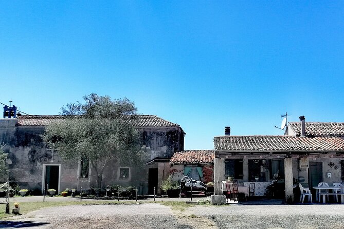 Lio Piccolo: Flamingos & Birdwatching Bike Tour in the Venetian Lagoon - Cancellation Policy