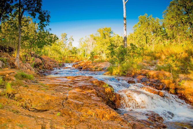 Litchfield National Park Waterfalls Day Trip From Darwin Including Termite Mounds and Lunch - Common Questions