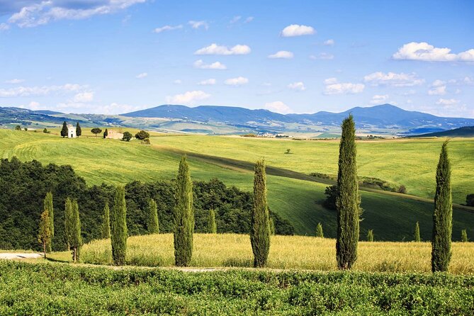 Livorno Shore Excursion: Bolgheri and Supertuscan Private Tour - Common Questions