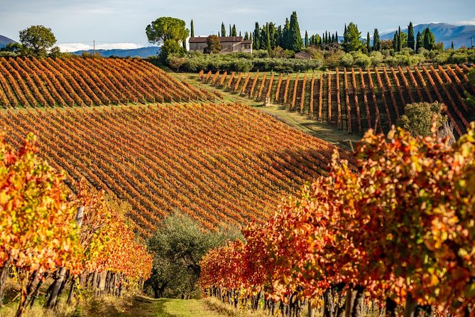 Livorno Shore Excursion: Chianti and Tuscany Countryside Private Wine Tour - Pricing and Additional Information