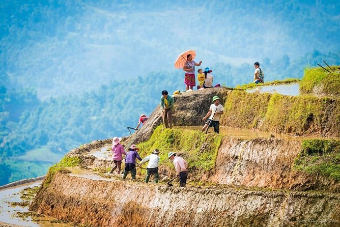 Local Experience in Sapa Trekking Tours - Reviews and Ratings