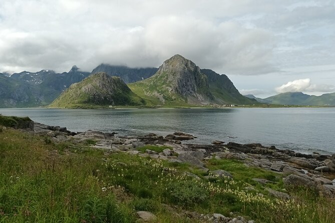 Lofoten PRIVATE Tour From Leknes - Small Group (1-4 Pax) - Pricing and Availability