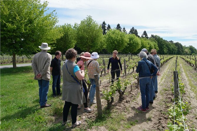 Loire Valley Wines Private Day Tour With Tastings From Tours or Amboise - Reviews and Questions