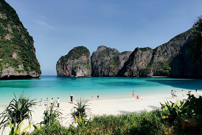 Longtail Boat Snorkeling in Phi Phi Island - Marine Life and Coral Reefs