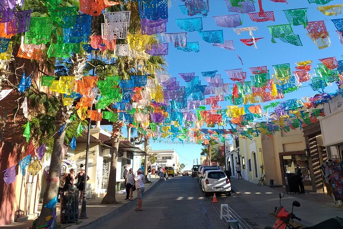 Los Cabos Guided City Tour With Visit to the Arch - Customer Review