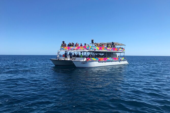 Los Cabos Whale Watching Cruise Including Breakfast - Host Responses