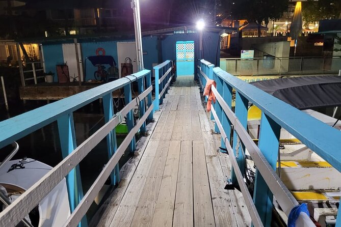 Luminous One Puerto Rico: Bio Bay Boat Ride With Swimming - Recommendations and Overall Experience