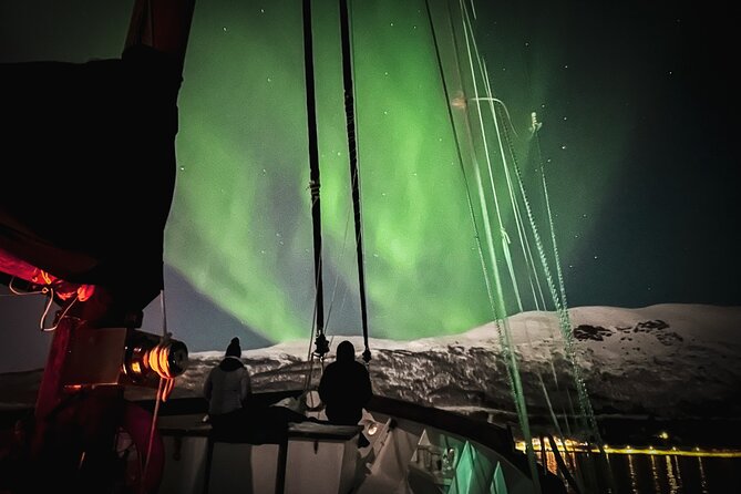 Luxury Northern Lights Cruise With Hot Tub and Dinner - Guest Experiences and Recommendations
