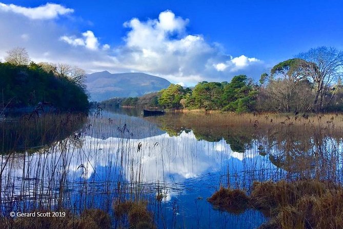Luxury Photography Day Tour on Dingle Peninsula - Fully Guided and Chauffeured - The Sum Up