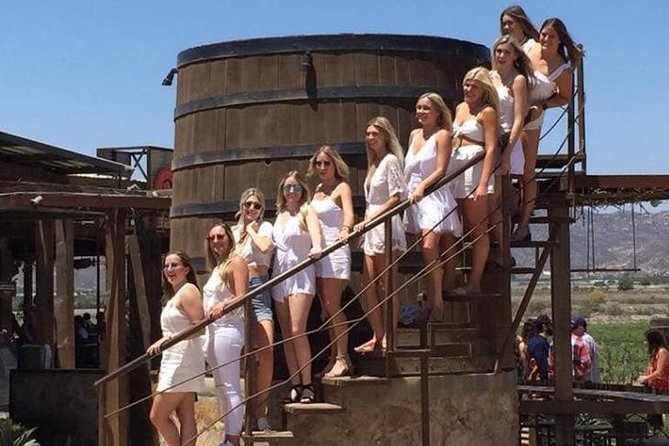 Luxury Private Wine Tasting Tour to Guadalupe Valley From San Diego - Reviews and Support