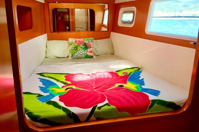 Luxury Sailing Catamaran - Private Charters, Owner-Operated - Reviews and Pricing
