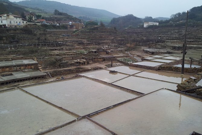 Luxury Tour By Alava (Vitoria-Gasteiz and Salinas De Añana) - Vitoria-Gasteiz Old Town
