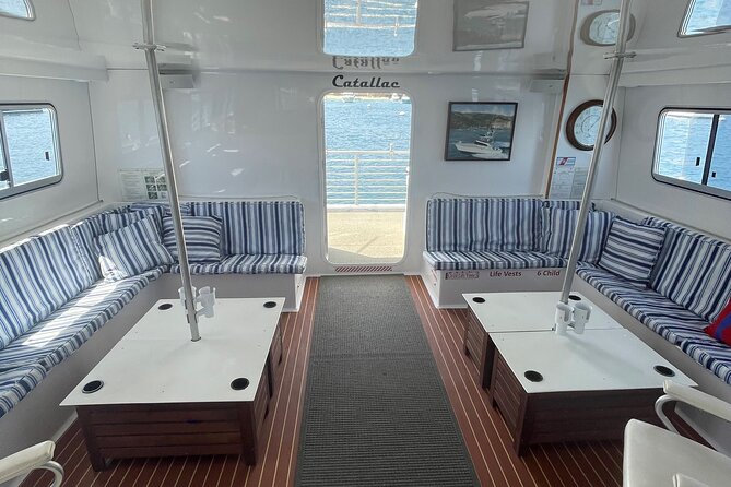 Luxury Whale Watching - Fewer People, Extra Speed, Expert Staff - Expert Guides for an Extraordinary Adventure