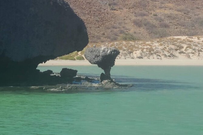 Luxury Yacht Cruise to Balandra Beach & Isla Espiritu Santo - Pricing and Additional Information