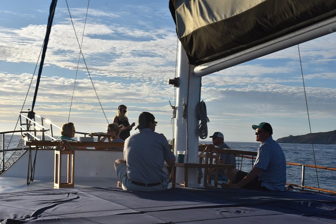Luxury Yacht Snorkeling & Lunch Cruise From Cabo San Lucas - Cancellation Policy and Reviews