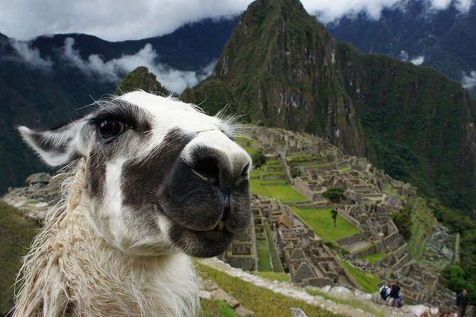 Machu Picchu Entry Ticket - Duration and Language Options