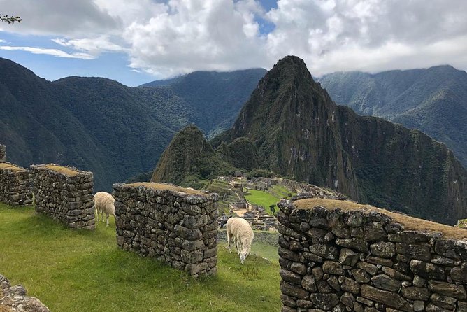 Machu Picchu Private Guide Service From Aguas Calientes - Exclusions and Recommendations