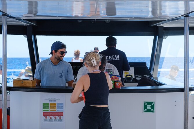 Madeira Dolphin and Whale Watching on a Ecological Catamaran - Pricing and Booking Details