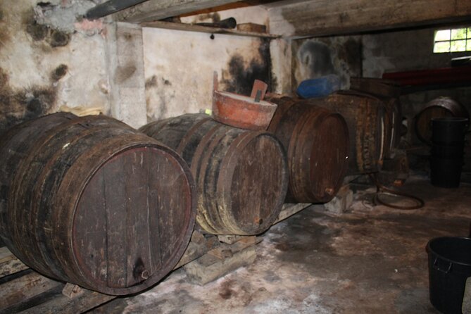 Madeira Island Private Wine Full-Day Tour in All Terrain Vehicle - Reviews