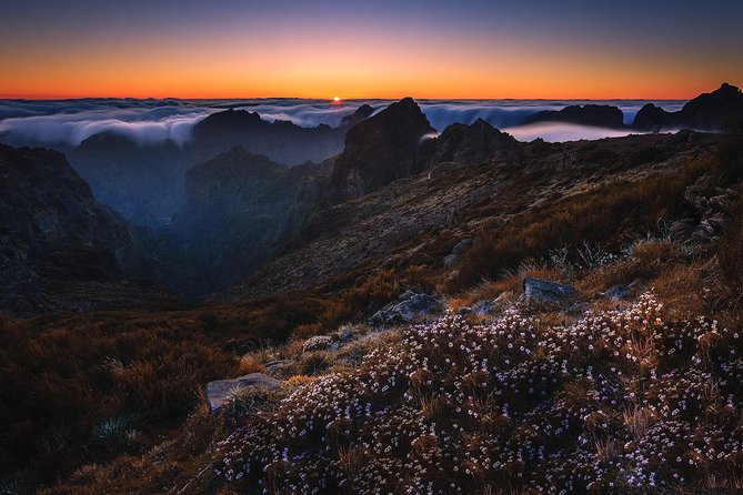 Madeira: Pico Ruivo Small-Group Sunrise Hike  - Funchal - Convenient Transportation From Funchal Accommodation