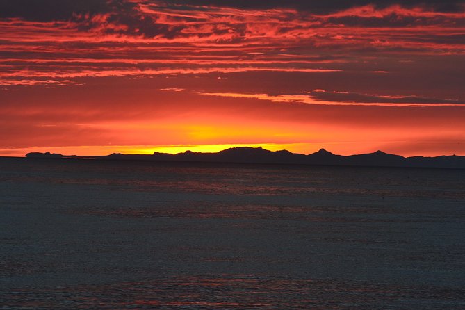 Magical Whales in the Midnight Sun From Reykjavik - Additional Information