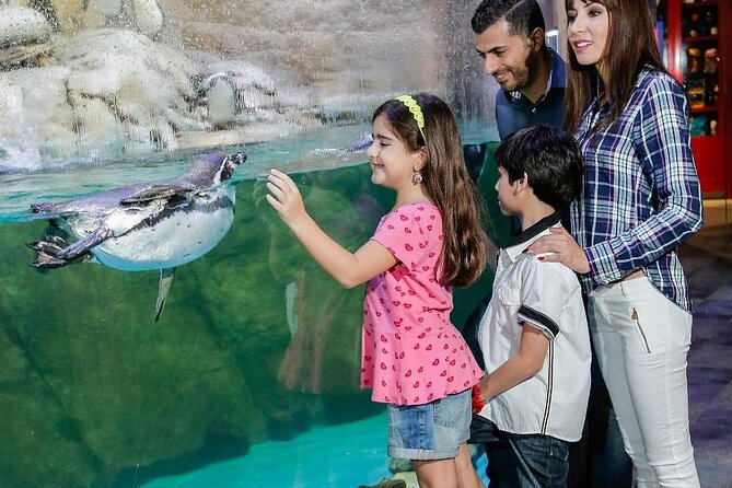 Mall Aquarium and Underwater Zoo - Additional Information