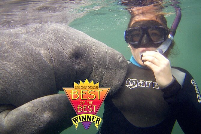 Manatee Snorkel Tour From American Pro Diving Center - Traveler Photos and Reviews