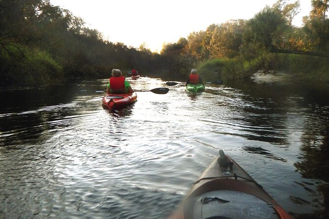 Manatees/Sunset/Bioluminescence Tour - Reviews