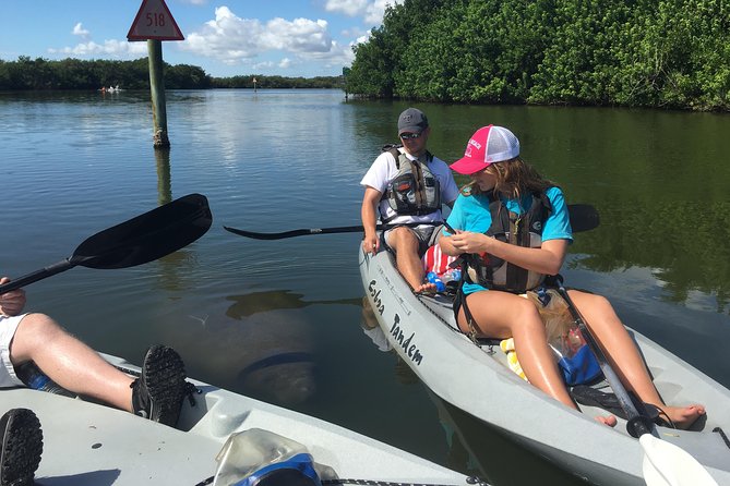 Mangrove Tunnels, Manatee, and Dolphin Sunset Kayak Tour With Fin Expeditions - Traveler Reviews and Photos