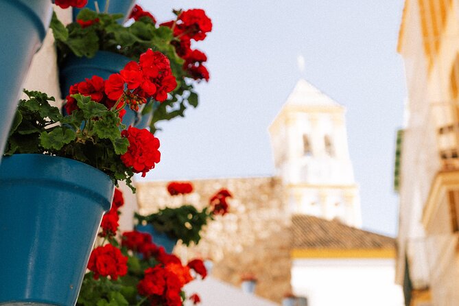 Marbella Old Town - Private Tour - Directions