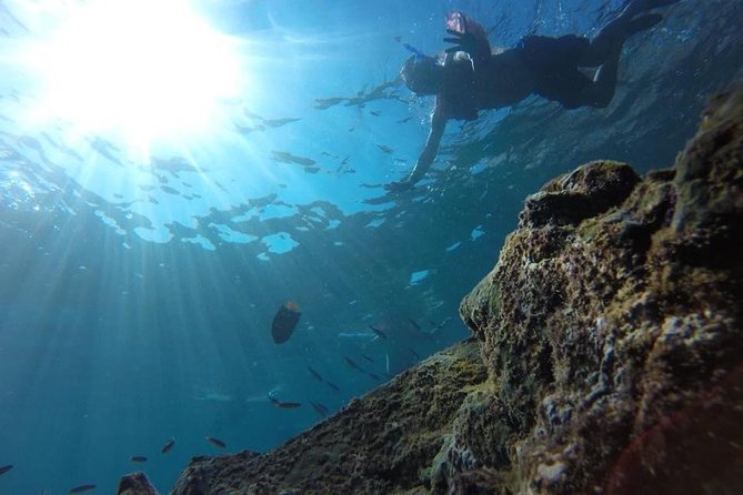 Marietas Islands Snorkeling Tour - Tour Duration