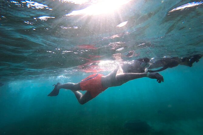Marine Sanctuary Snorkelling Trip  - Puerto Rico - Additional Information and Cancellation Policy