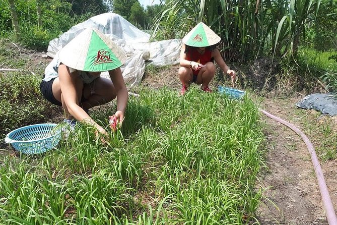 Market to Farm to Table Cooking Class in Saigon - Indulge in a Delicious Meal