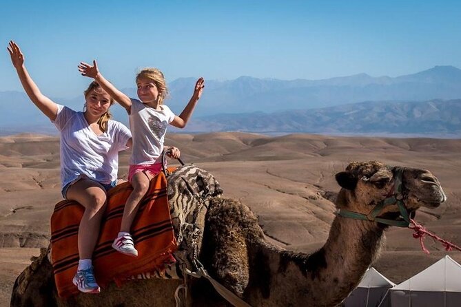 Marrakech 3-Hour ATV Tour in Desert and Palmeraie - The Sum Up