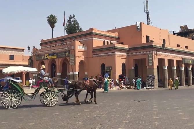 Marrakech Guided City Tour Fullday Guidevanlunch - Reviews