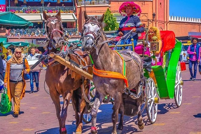 Marrakech Private Souks Shopping Tour - Reviews and Ratings